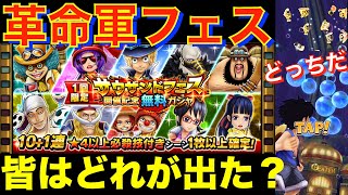 『革命軍フェス』運命の無料ガシャ‼︎みんなはどれが出た？「これは・・・どっちだ？？：サウスト