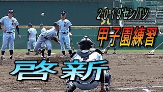 啓新（福井）甲子園練習（守備・投球）【２０１９センバツ甲子園】