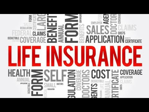 Insurance Top 10 Companies 2021 || 10 Largest Auto Insurance Companies ...