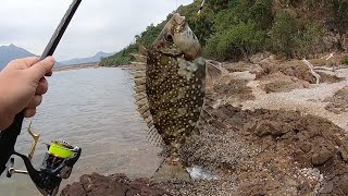 2020.01.18 磯釣 | 練習北水全游動釣法，卻遇上無流水+化餌大軍...腳板大泥鯭讓我不用打龜