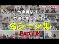 【コムドット作業用】Part16 面白名シーン集【コムドット切り抜きまとめ】#コムドット#コムドット切り抜き #作業用