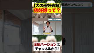 犬の避妊去勢とは？偽妊娠とは？