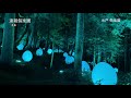 2021 偕楽園「光の祭」4k