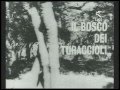 L'industria sarda del sughero nella Gallura 06/12/1962