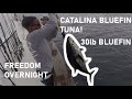 OFFSHORE BLUEFIN TUNA FISHING • Freedom Sportfishing 22nd Street Landing • Overnight Fishing 2020