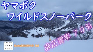 非圧雪率７０％のスキー場 【 ヤマボクワイルドスノーパーク  】志賀高原のシンボル笠岳の南斜面のエリアに広がる自然を活かしたナチュラルゲレンデ