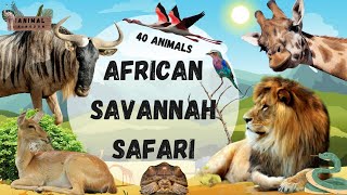 The Great Savannah Safari: Discovering Africa's Wildlife