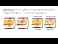 Pulse Oximetry & Capnography