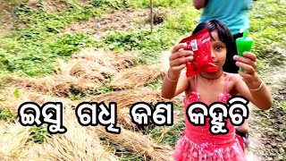 ସକାଳୁ ସକାଳୁ ଚାଲିଛି ଲିପା ପୋଛା|Odia vlog@Bijayalaxmii