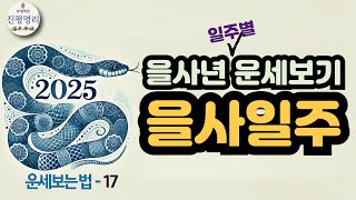 2025년 을사년 운세풀이17-을사일주