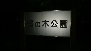 車中泊 茨城県土浦市「樫の木公園」