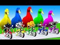 5 Giant Duck Cartoon, Cow, Elephant, Tiger, Paint Wild Animals Crossing Fountain Animation#animals