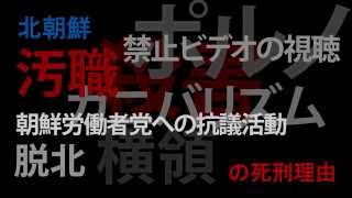 【アムネスティ】死刑統計2013　2014年概要と数値