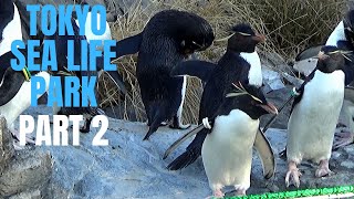 TOKYO SEA LIFE PARK- PART 2. 葛西臨海水族園