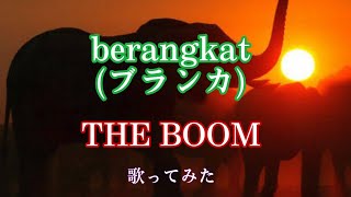 berangkat (ブランカ)【歌ってみた】【THE BOOM】