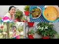 Aaj bahat kaam kiya/garden work/ healthy lunch/barbati aloo fry