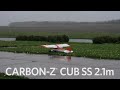 Quick Look: E-flite® Carbon-Z® Cub SS 2.1m