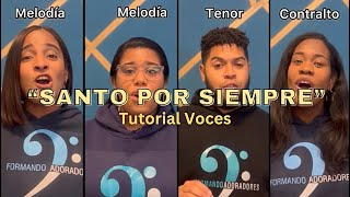 Santo Por Siempre - Tutorial de voces