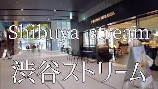 Take a walk in Shibuya Stream/渋谷ストリームを散歩