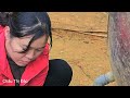 touching meeting between mother and daughter tears of happiness flowed chẩu thị Đắc