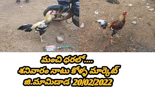 Saturday naatukolla market || శనివారం నాటు కోళ్ళ మార్కెట్ || Kollamaket 19 February 2022