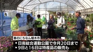 季節の花々や果樹の苗木などを展示即売　春のにちなん植木市　日南総合運動公園で今月20日まで