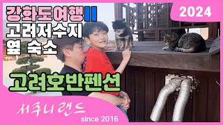 [서주니의 2024 강화도 여행 2] 고려호반펜션 소나무방 고양이 강아지들이 있어요