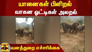 யானைகள் பிளிறல்... வாகன ஓட்டிகள் அலறல் - வனத்துறை எச்சரிக்கை