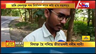 🌳 ডবকাৰ পিছত এইবাৰ কাৰ্বি পাহাৰ, আৰু কিমান দিনলৈ উন্নয়নৰ নামত বন ধ্বংস?