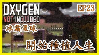 [笨貓]Oxygen Not Included(缺氧)-開始種植生活