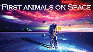 মহাকাশে প্রথম প্রাণী //// First Animals on Space