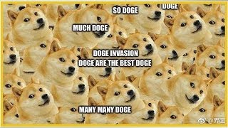 嘲諷臉永流傳！經典梗圖狗「Doge」原型竟已是老奶奶了