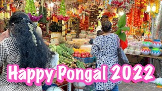 Sketching Pongal 2022  •   Cows, Ven Pongal and Masala Chai