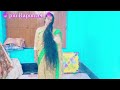 piu rapunzel long hair bengoli house wife soft hair play self mood