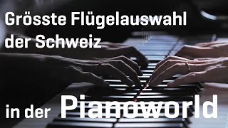 Pianoworld | Bechstein-Fazioli-Center