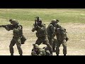 【陸上自衛隊】89式5.56mm小銃によるcqb（近接戦闘）射撃技術 ガンハンドリング訓練展示 新発田駐屯地第30普通科連隊 japan s type 89 assault rifle jgsdf