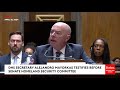 jon ossoff rips republicans for opposing bipartisan border security bill at hearing with mayorkas