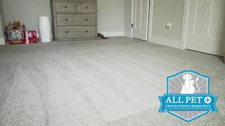 Mohawk SmartStrand Carpet