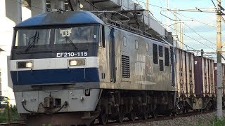 【4K】JR山陽本線　EF210-115号機牽引　5071レ貨物列車