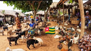 Largest rural  village market day in Vogan Togo west Africa 🌍 Cost of living in