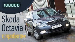 Skoda Octavia б/у: на что обратить внимание при покупке?