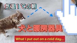 【室内犬】暖房器具を小馬鹿にする犬〜A dog that makes a little fool of the heater