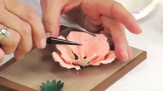 How to Use Sizzix Thinlits Rose Flower Die 658411