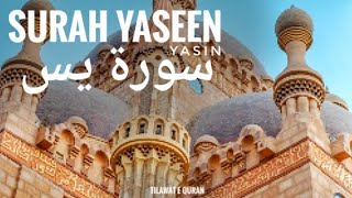 Surah Yasin Recitation | سورۃ یس تلاوت | Surah Yaseen Tilawat By Hafiz Umair Mishary Alafasay