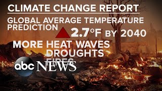 UN climate report issues a ‘code red for humanity’
