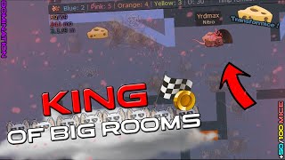 King Of Big Rooms : Satisfying 50/100+ Mice Gameplay - Transformice