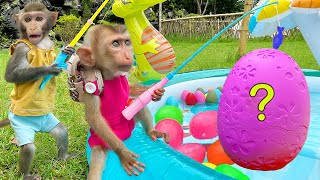 Baby Monkey Bim Bim Open Surprise Egg And Swim With Duckling In The Pool
