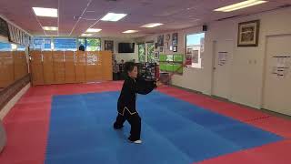 Chen Tai Chi Sword Form - Jinhee