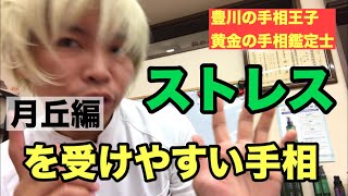 【手相】ストレスを受けやすい月丘 豊川|豊橋|手相|占い|集客|婚活 黄金の手相鑑定士