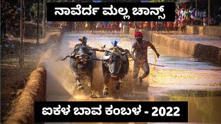 Naverda Malla Chance Race | Aikala Bava Kambala-2022 | 26-February-2022 | Namma Kambala